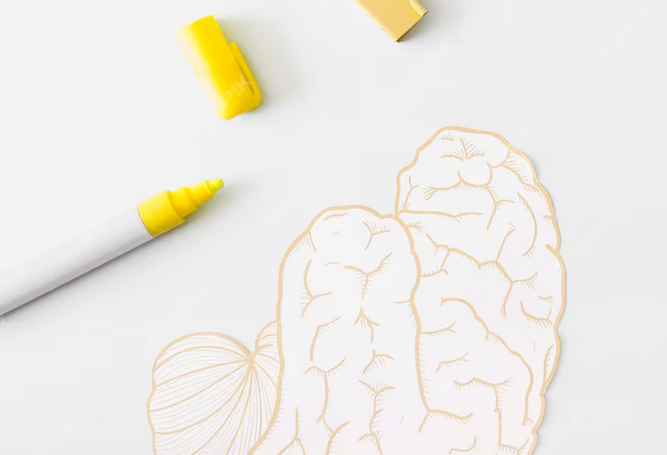 Hekim ve Siyasetçi Gözüyle Acil Sağlık Hizmetleri ve Çözüm Önerileri 6 2024 04 24 13h36 07