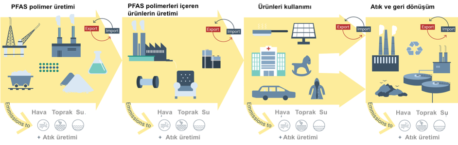 Sonsuza kadar kalıcı kimyasallar, PFAS ve çevre sağlığı 11 image 10