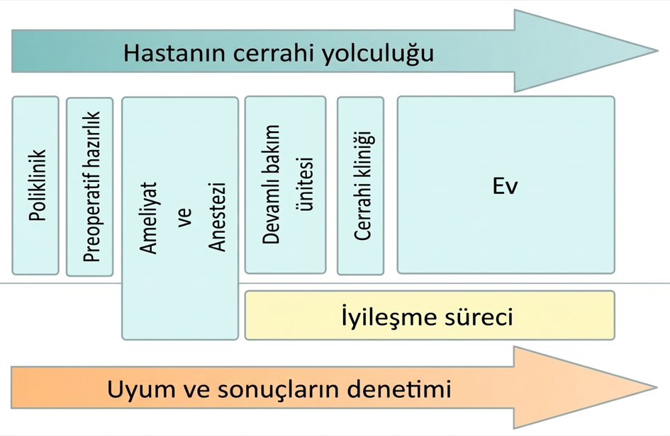 “ERAS”ın bilimsel kanıtları: Nedir, ne değildir, kişiselleştirme gerekli mi? 8 image 18