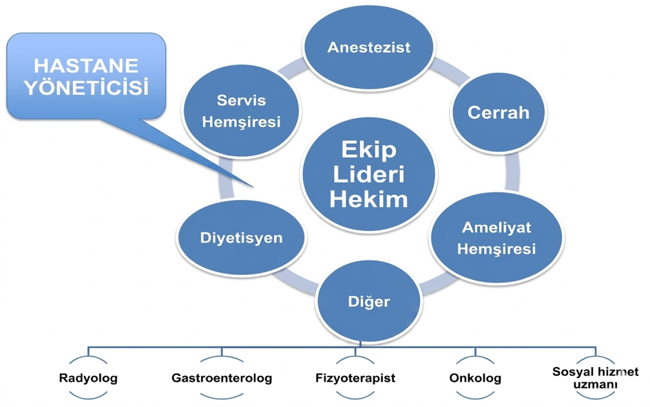 “ERAS”ın bilimsel kanıtları: Nedir, ne değildir, kişiselleştirme gerekli mi? 11 image 21