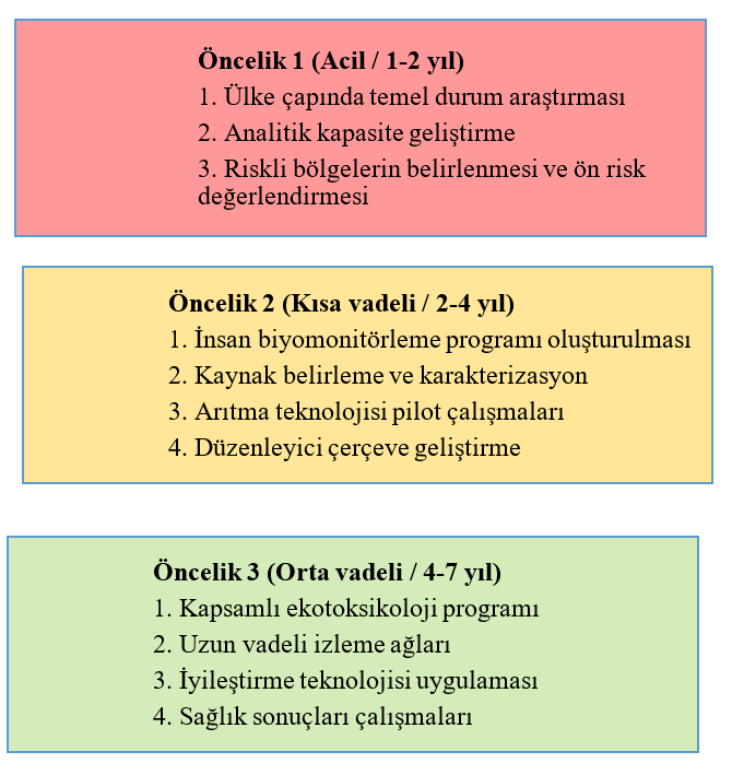 Ağır metaller, mikroplastikler, nanoplastikler ve PFAS etkileşimleri: Türkiye için olası riskler, veri boşlukları ve öncelikli halk sağlığı yaklaşımı 12 yeni